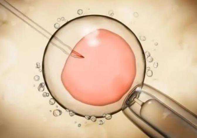 长沙代孕哪家强,2023
年长沙中信湘雅医院可以做供卵试管婴儿吗？要排队吗？