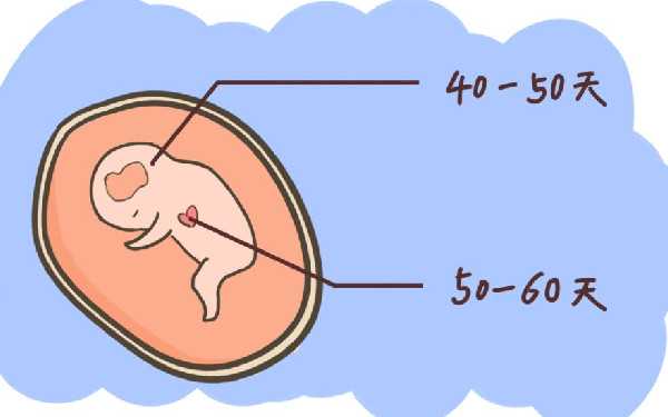 深圳代孕机构包成功 深圳试管婴儿一次费用多少? ‘nt越大真的是男孩吗?’